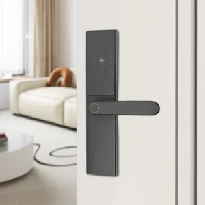 Smart Door Lock Fingerprint Password Entry
