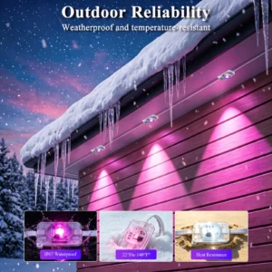 Permanent Outdoor Light - Thumbnail Image 4